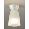 DXL-81110 LED�����ցE���^�V�[�����O���C�g DAIKO(����d�@) 24892455