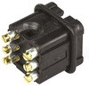 24900498