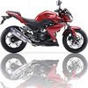 IX-OK7036VSE IXIL(CNV)KAWASAKI NINJA250-300R (13) SLIP ON SOVE-I[o^Cv MAD MAX(}bh}bNX) 24966314
