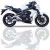 IX-FK7852S IXIL(CNV)KAWASAKI ER-6 (12-16) EX650ECF/ER650ECF FULL X55-XbV R[^Cv MAD MAX(}bh}bNX) 24966953