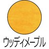 24969105