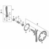 Y1VM98010 FC-RS400 50T-F SHIMANO(V}m) 24983105