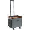 COOLCARRY 保冷キャリー TRUSCO 24983326