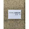HPSP-480 貼るプッシュピン ”ワッポン” TRUSCO 24986930