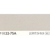 24998076