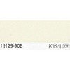 24999004