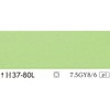 24999406