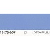 25000675