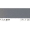 25000797