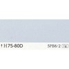 25000955