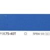 25002093