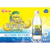 500ml×24本 富士山の強炭酸水レモン 500mL アイリスオーヤマ 25248818