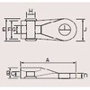 25262976