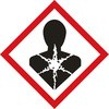 25287424