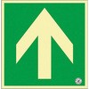 25525895