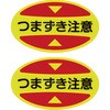 25594548