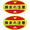 25594557
