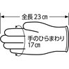25602905