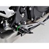 97202 PREMIUM ZONE C_[Xebv PZR-09 KAWASAKIԗp DAYTONA(fCgi) 25620763