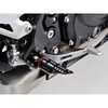 97202 PREMIUM ZONE C_[Xebv PZR-09 KAWASAKIԗp DAYTONA(fCgi) 25620763