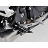 97202 PREMIUM ZONE C_[Xebv PZR-09 KAWASAKIԗp DAYTONA(fCgi) 25620763