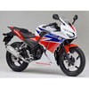 01810-6J1L9-00 �G�L�]�[�X�g(�}�t���[)CBR250R �������L�G���W�j�A�����O 25622933