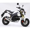 01810-L41N5-00 �G�L�]�[�X�g(�}�t���[)GROM �������L�G���W�j�A�����O 25623326