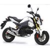 01810-H11N5-00 �G�L�]�[�X�g(�}�t���[)GROM �������L�G���W�j�A�����O 25623335