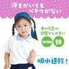 4182 フィットはちまき アーテック[学校教材・教育玩具] 25650486