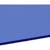 25681050