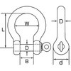 BS-8 XeX I^tNVbN Ђ߂ 25698846