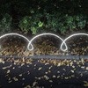 25719586,25719595,25719604,25719620