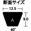 25819299