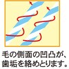 25845909
