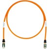 STP6X4MOR �V�[���hLAN�P�[�u��(�J�e�S��6�A6a�Ή��E���[�V�[���h�R�l�N�^�t) PANDUIT(�p���h�E�C�b�g) 25922656