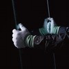 耐切創手袋 EVOカットレジスト 東和コーポレーション(TOWA)