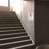 25955118