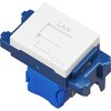 lan コンセント cat6