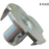 25996558
