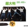 ラグ こたつ敷き布団 長方形 大きい 幅広ラグ ブラウン 約220×400cm アズワン