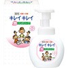 キレイキレイ泡ハンドソープ箱入 ライオン特販