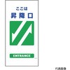 26340030