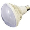 投光器用 LED電球 50W グリーンクロス