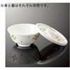 丼 中 蓋 A 146Cシリーズ 国際化工