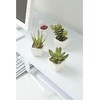 人工植物 多肉植物3種セット アートクリエイション