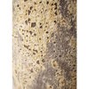 ficus-umbellata-169 ϗtA tBJX Ex[^ 8 p AgeBX N[Vu t yp z HitoHana(ЂƂ͂) 31680925