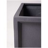 phoenix-roebelenii-63 ϗtA tFjbNXxj[ 8 ueBbVL[u t HitoHana(ЂƂ͂) 26530009