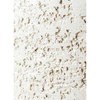 coffee-tree-119 ϗtA R[q[̖ 6 GRXg[g[^Cv white t HitoHana(ЂƂ͂) 26537788