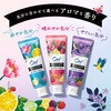 - キッチン用アルコール除菌スプレー フマキラー 26576515