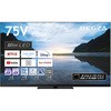 タイムシフトマシン搭載4K Mini LED液晶レグザ REGZA